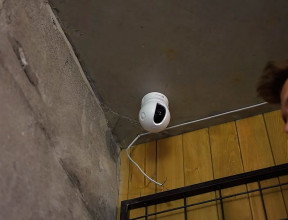 Творчий та успішний бізнес