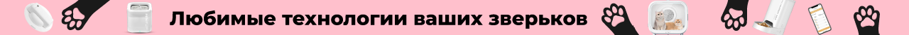 Звери