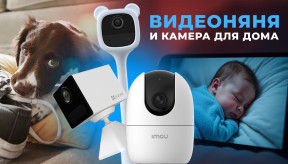 Видеоняня и камера для животных: Как выбрать видеонаблюдение для дома