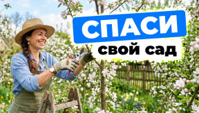 Чек-лист садовода на март: 7 инструментов, которые должны быть под рукой