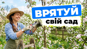 Чек-лист садівника на березень: 7 інструментів, які мають бути під рукою