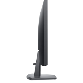 Dell SE2422H - Монітор (24", 1920 x 1080) в Україні