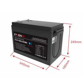 Акумуляторна батарея літій-залізо-фосфатна 25.6В 100Аг Cyclen 25.6V 100AH LiFePo4 (підігрів/Bluetooth) купити