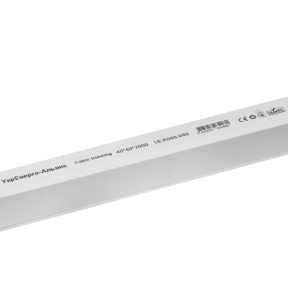 Кабельний канал 40х40 мм 2м із подвійним замком купити