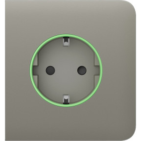 Ajax SideCover (smart) [ type F ] Olive - Передняя панель и крышка розетки фото