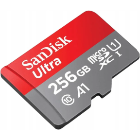 Карта памяти SanDisk 256GB microSD class 10 UHS-I Ultra (SDSQUAC-256G-GN6MN) купить
