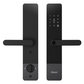 Dnake 607-B - Полуавтоматичний розумний замок купити