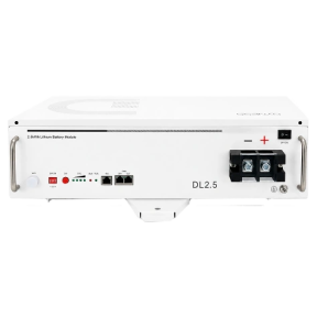 Dyness DL2.5 – Аккумуляторная батарея LiFePO4 (25.6V, 100Ah, 2.56kWh, CAN/RS485) фото