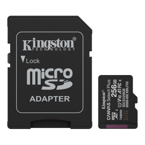Карта памяти Kingston microSD 256GB C10 UHS-I A1 V10 R150MB/s + SD купить
