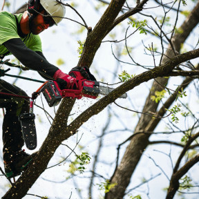 Пила цепная аккумуляторная бесщеточная M18 FHS20-0 Цена