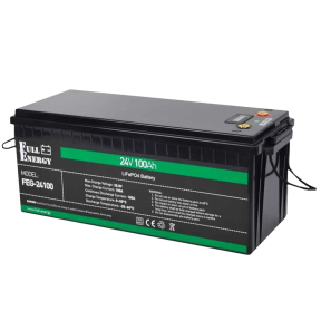 Full Energy FEG-24100 - Акумулятор LiFePO4 24В 100Аг купити