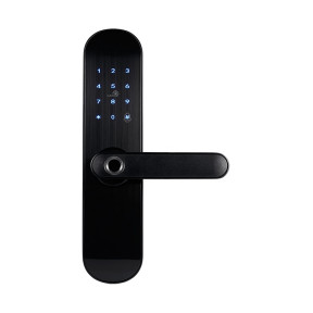 Биометрический электромеханический замок Trinix TRL-5103BTF купить