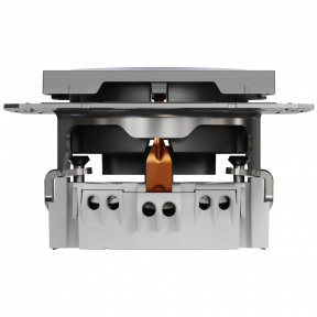 Schneider Electric EPH2900171 Asfora - Розетка 220В антрацит, пластик, с заземлением, Schuko в Украине