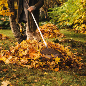 Fiskars Light (135563) - Граблі для листя полегшені великі в Україні