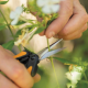 Fiskars Solid Micro-Tip SP13 (1051600) - Ножиці