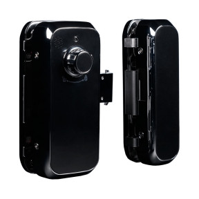 Біометричний електромеханічний замок Trinix TRL-3306BTG в Україні