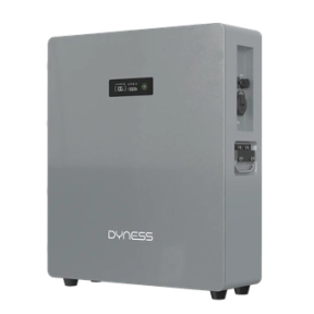 Dyness AquaVolt D2.5LAC-5 – Система накопичення енергії (5.12kWh, 2500W, LiFePO4, IP65) купити