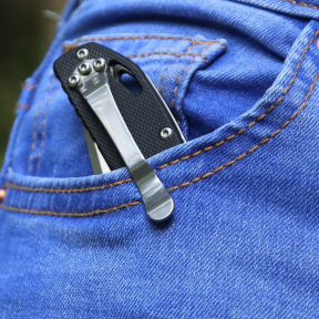 Ganzo Firebird F753M1-BK - Ніж складний фото