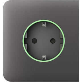 Ajax SideCover (smart) [ type F ] Gray - Передняя панель и крышка розетки купить