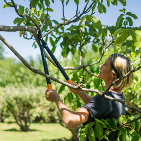 Fiskars (M) L74 112290 (1000582) - Сучкорез плоскостной фото