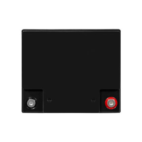 Аккумуляторная батарея литий-железо-фосфатная 12В 38А*ч Trinix 12V38Ah LiFePO4 - фото №4 Аккумуляторная батарея литий-железо-фосфатная 12В 38А*ч Trinix 12V38Ah LiFePO4 фото