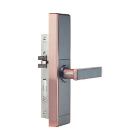 Биометрический электромеханический замок Trinix TRL-5109BTF - фото №4 Биометрический электромеханический замок Trinix TRL-5109BTF фото