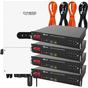 Dyness B4850G (2.4 кВт·г / 48 В) (4 шт.) + Dyness 6.0L-1P-A 6кВт 48В (1 шт.) + Комплект силових кабелів для Dyness B4850 - Комплект системи накопичення енергії купити