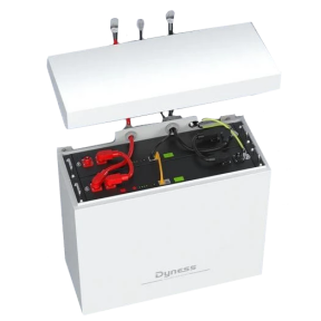 Dyness BOX 2xB4850 48V 100Ah 4.8kWh LiFePo4 - Акумуляторний модуль в Україні