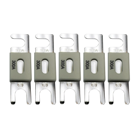 Предохранитель Victron Energy ANL-fuse 300A/80V (5 шт)