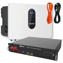 Dyness B4850G (2.4 кВт·г / 48 В) (1 шт.) + SWATTEN SiH-6kW-SL 6kw (LV) (1 шт.) + 1 комплект кабелей - Комплект системи накопичення енергії