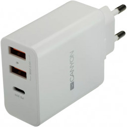 Canyon H-08 Белый - Сетевое 2.4A зарядное устройство мульти-USB высокой мощности