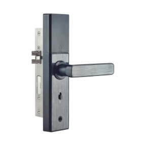 Біометричний електромеханічний замок Trinix TRL-5108BTF фото