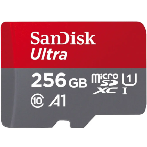 Карта памяти SanDisk 256GB microSD class 10 UHS-I Ultra (SDSQUAC-256G-GN6MN) фото