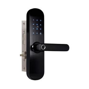 Биометрический электромеханический замок Trinix TRL-5103BTF фото