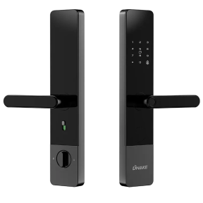 Dnake 607-B - Полуавтоматичний розумний замок зображення