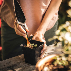 Fiskars Solid (1057641) - Лопатка для посіву насіння Ціна