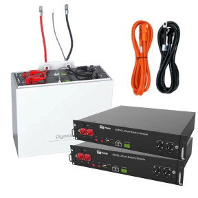 Dyness BOX 2xB4850 48V 100Ah 4.8kWh LiFePo4 - Акумуляторний модуль купити
