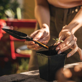 Fiskars Solid (1057641) - Лопатка для посіву насіння фото