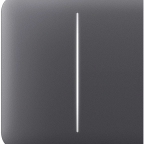 Ajax SideButton (2-gang) graphite – Боковая сенсорная кнопка (для 2-клавишного выключателя, левая/правая, графит) купить