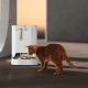 Смарт годівниця PETKIT YumShare Dual-hopper with Camera