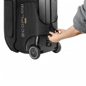 Сумка EcoFlow DELTA Pro Bag зображення
