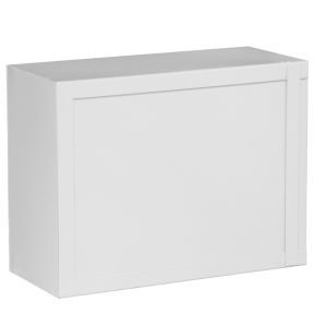 Антивандальний ящик БК-400-пенал (400х300х150) (БК-400-1 з планкою (К-3713)) купити