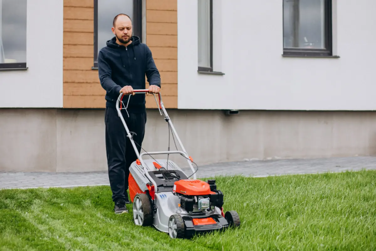 Fiskars чи Bosch: Як вибрати інструмент для саду – ручний чи електричний?