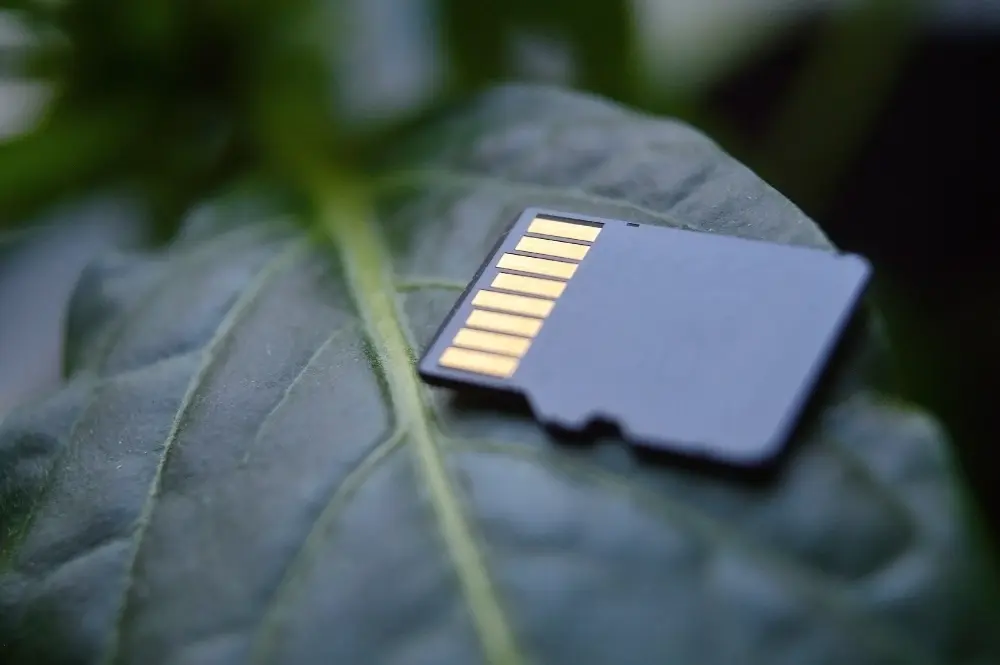 Карта пам'яті microSD на зеленому листі – локальне зберігання відео в системі відеоспостереження без інтернету