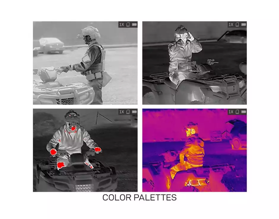 Color-Palettes-940x740.webp (30 KB)