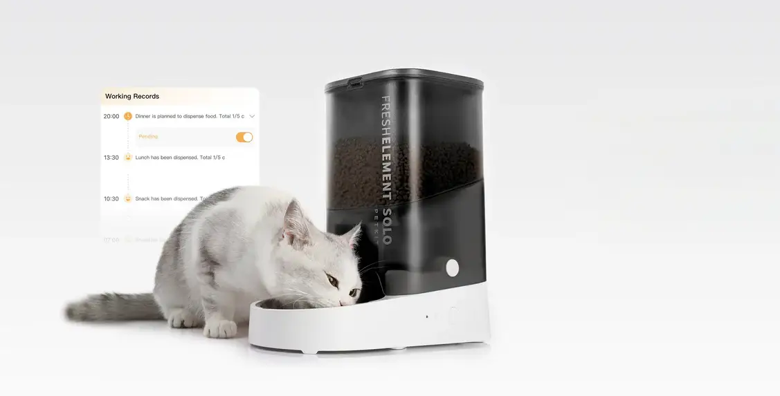 Petkit Fresh Element SOLO: Персональный диетолог для вашего питомца