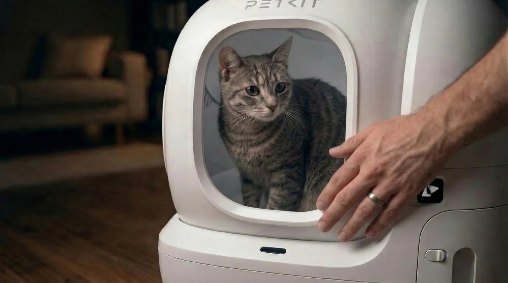 Кіт усередині PETKIT Pura Max 2: демонстрація збільшеного простору та широкого входу нової моделі.